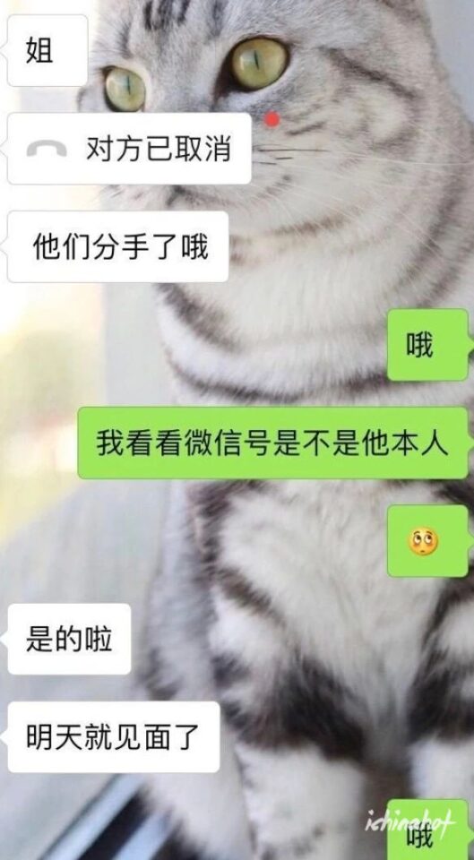 陈宇豪和EZI分手撕逼真相,为何不能好聚好散？ - 图17