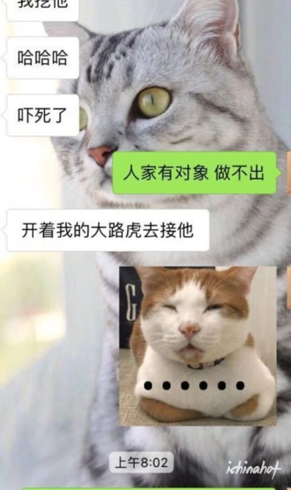 陈宇豪和EZI分手撕逼真相,为何不能好聚好散？ - 图20