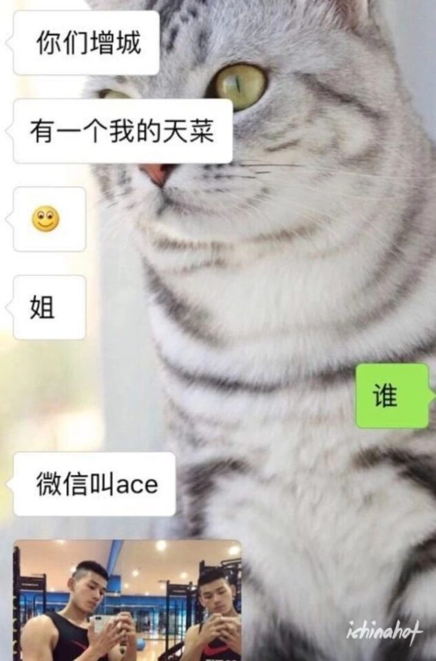 陈宇豪和EZI分手撕逼真相,为何不能好聚好散？ - 图19