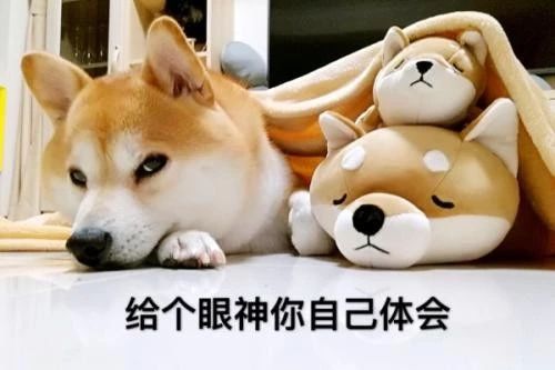 真实！韩国21岁兵长和32名同性…H小说都不敢这么写 - 图2