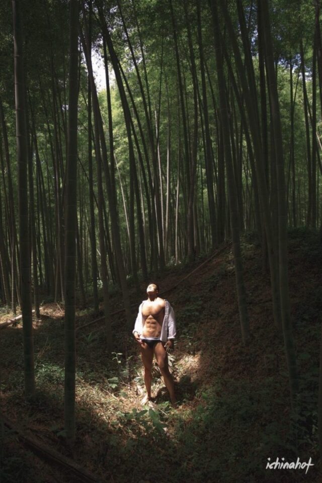 徐维森男色摄影《献给朦胧的夏日细碎》 - 图1