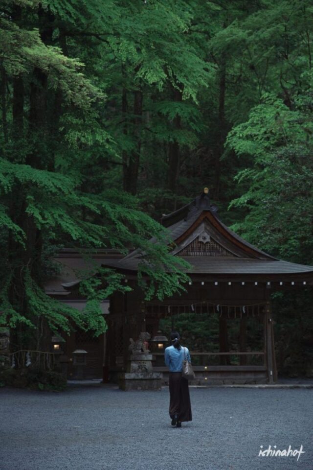 徐维森男色摄影《京都缝隙的阳光》 - 图15