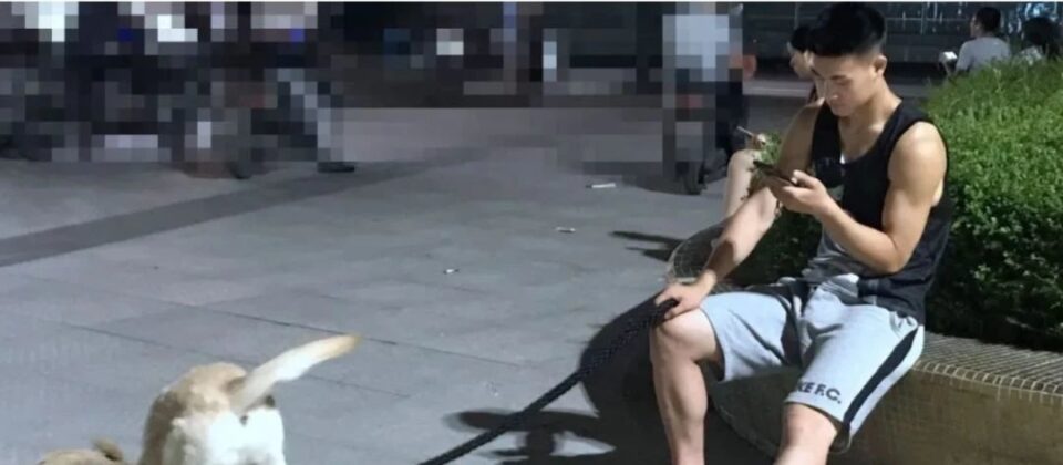 肌肉帅哥挂空垱出门遛狗，下面超大包 - 图7