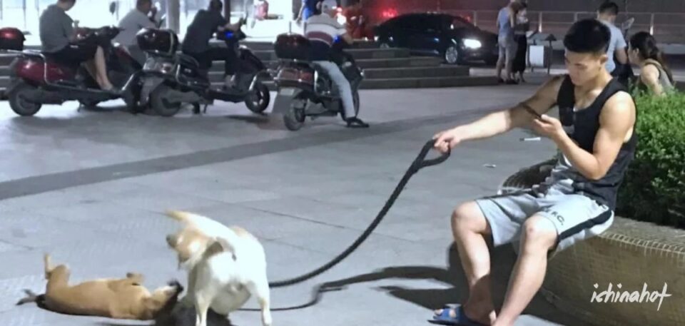 肌肉帅哥挂空垱出门遛狗，下面超大包 - 图6