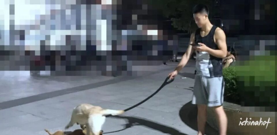 肌肉帅哥挂空垱出门遛狗，下面超大包 - 图2