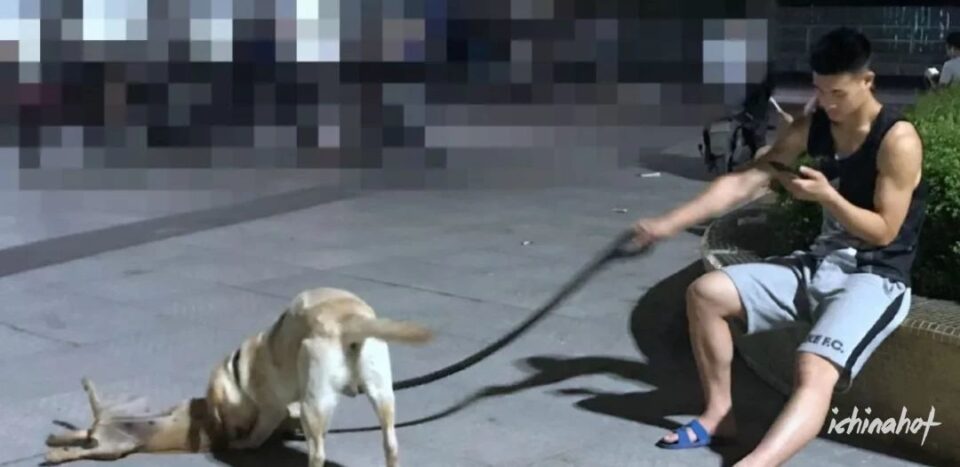 肌肉帅哥挂空垱出门遛狗，下面超大包 - 图3