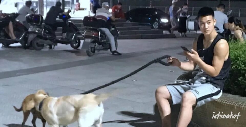 肌肉帅哥挂空垱出门遛狗，下面超大包 - 图5