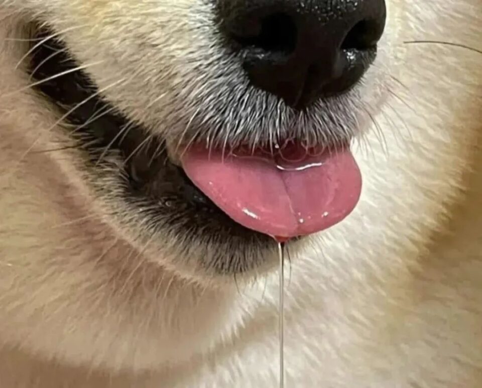 基友们晒撸铁成果，这波不看就亏大了！